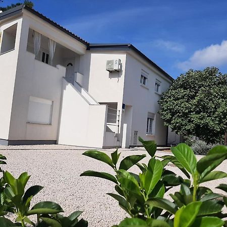 Apartman Bunaric Vir Exterior photo