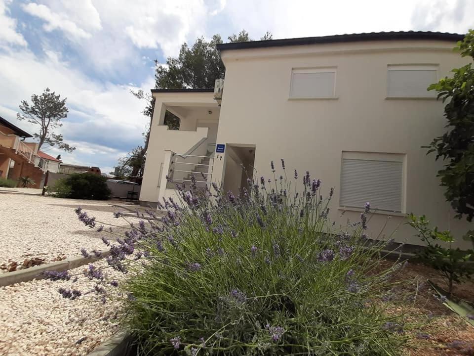 Apartman Bunaric Vir Exterior photo